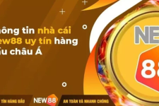 So Sánh New88 Today Với Các Website Cá Cược Khác