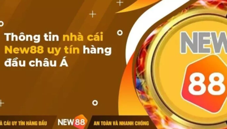 So Sánh New88 Today Với Các Website Cá Cược Khác